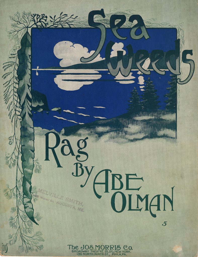 Sea Weeds Rag