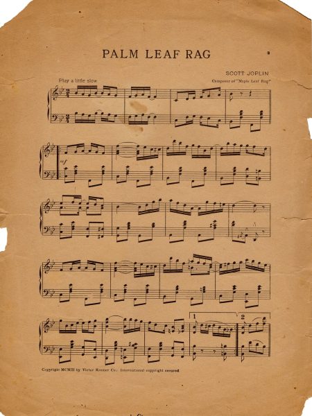 Palm Leaf Rag